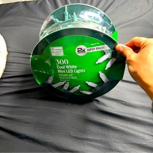 Home accents holidays is the brand. and it is a 300 mini LED lights steady,